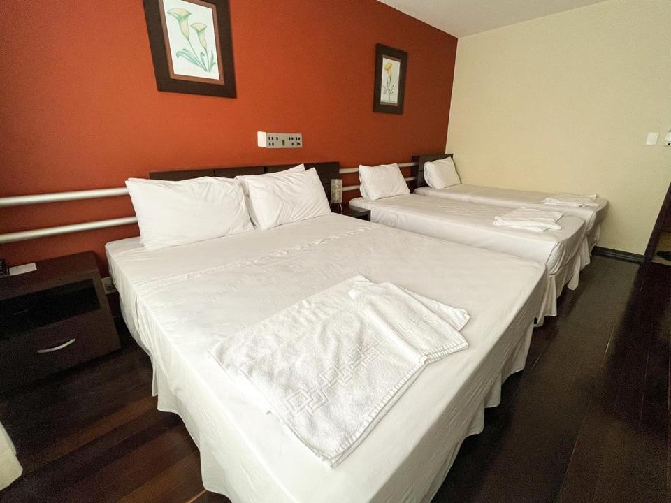 Santa Catarina Plaza Hotel Canoinhas Exterior foto
